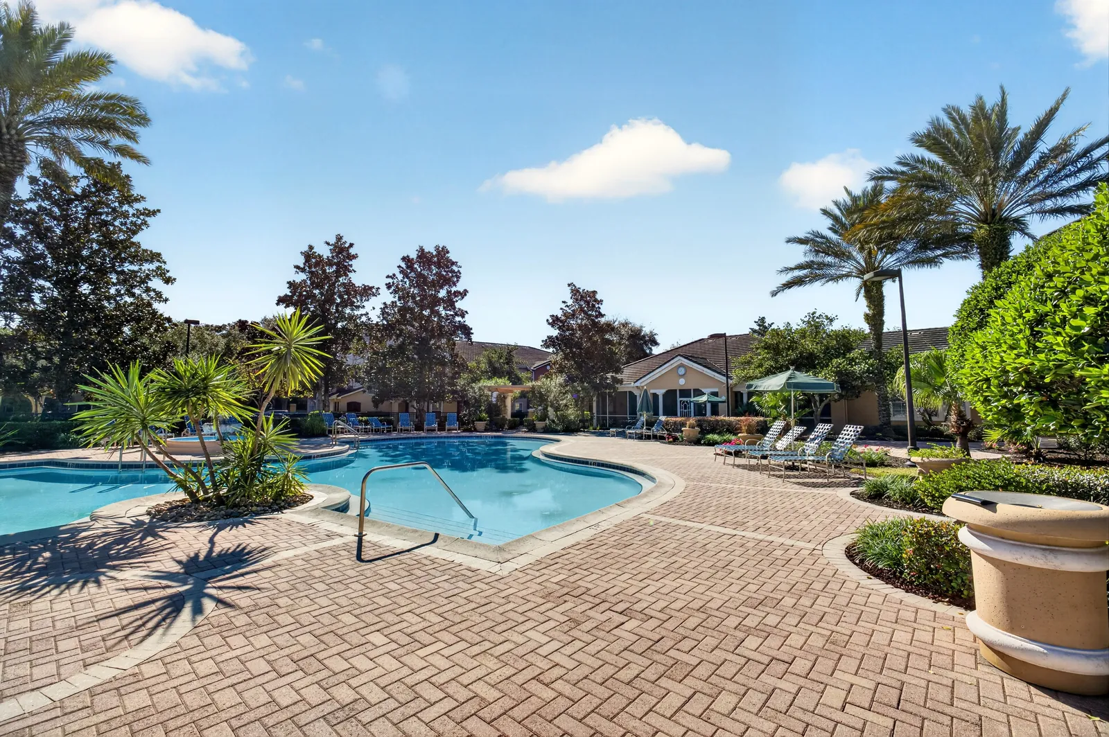 Community pool with palm trees